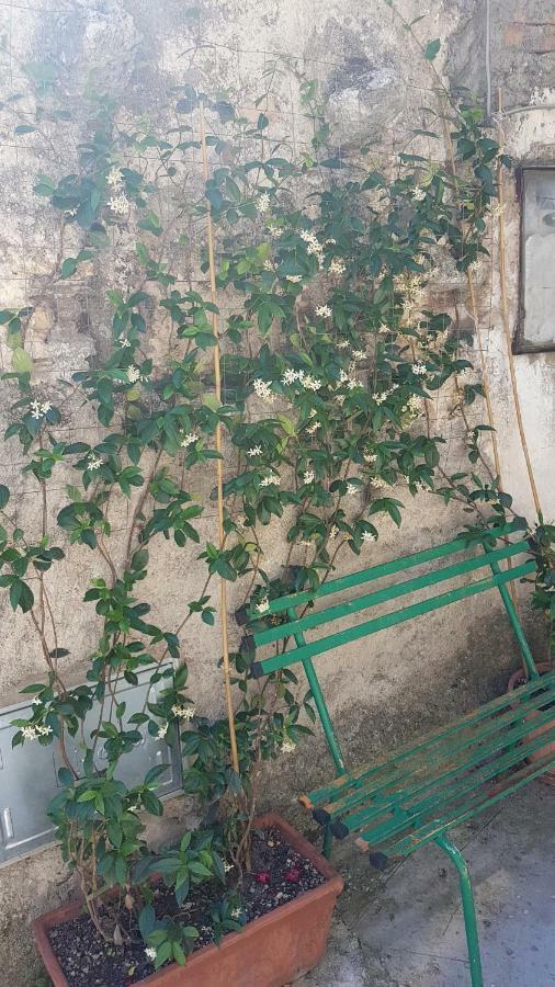 La Casetta Del Pellegrino Apartamento Poggio Bustone Exterior foto